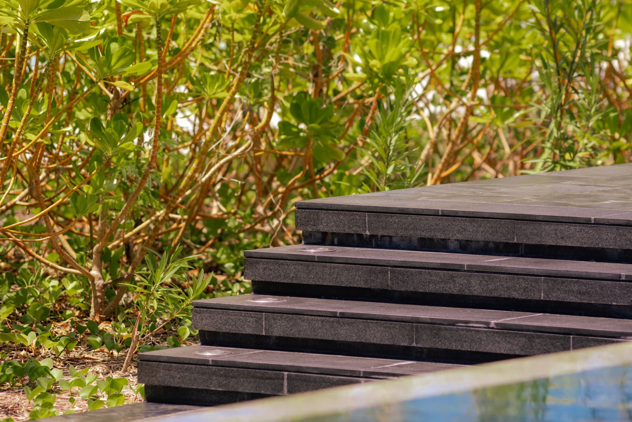 Stone steps leading to a pool through lush greenery at Madifushi Private Island